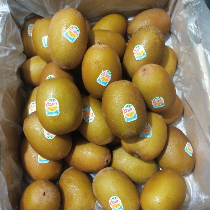 

BUAH KIWI GOLD ZESPRI NEW ZELAND SIZE 18 JUMBO FRESH PER DUS