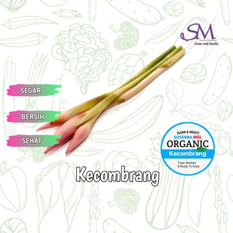 

Bunga Kecombrang Fresh bersih organik
