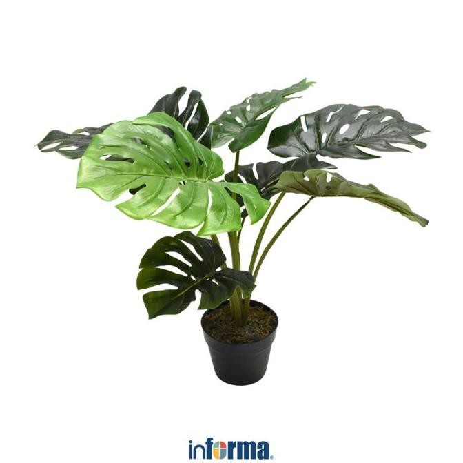 TERMURAH INFORMA - TANAMAN ARTIFISIAL - ARTIFICIAL MONSTERA IN POT 60X60X60CM