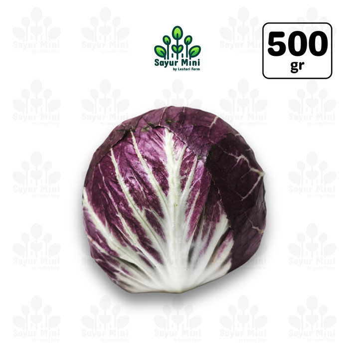 

Radicchio 500gr - Radisio / Radiccio Lettuce - Salad Sayur - Sayur Fresh by Sayur Mini
