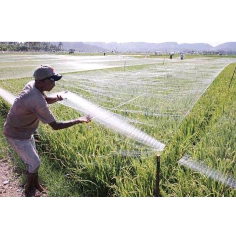 Sale Jaring burung sawah lebar 7,5m panjang 100yds jaring burung pipit jaring burung emprit jaring