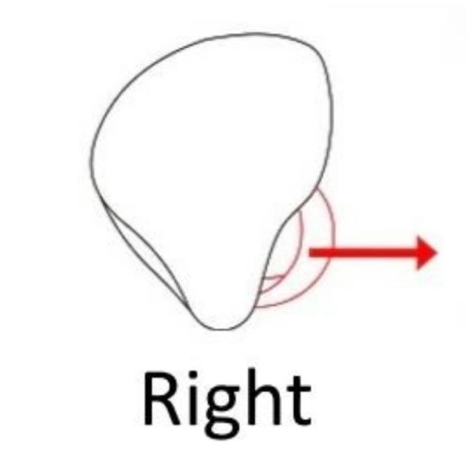 Kz Zsn Kz Zsn Pro Replacement Satuan Earphone Kiri Dan Kanan