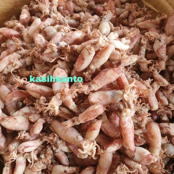 

IKAN ASIN BEBY CUMI-1KG