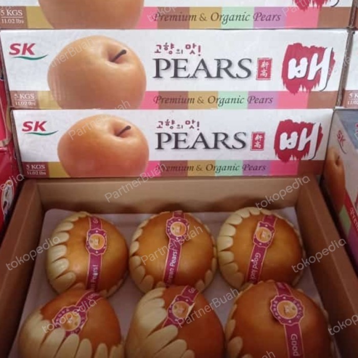 

Pear Singo Korea Jumbo Gift Box Imlek Murah