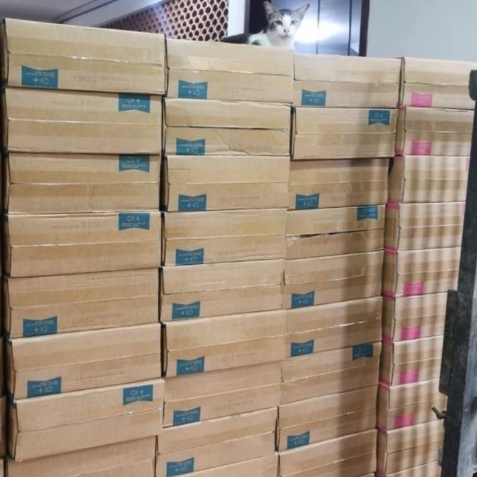 Promo Makanan Kucing Life Cat Kaleng 1 Dus Life Cat Dus 1 Box Life Cat Dus