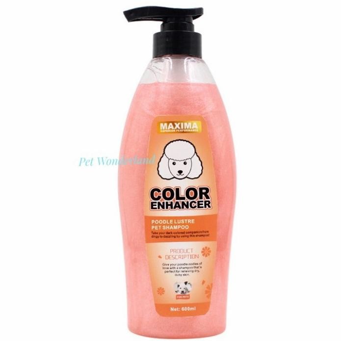 a Poodle Shampoo 600 ML - Shampoo Anjing Poodle
