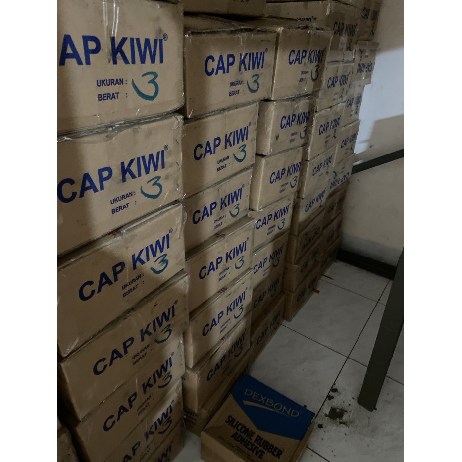 Paku Kayu Dus Murah