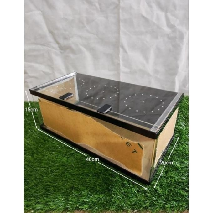 Akrilik Box Reptil / Kandang Hewan Terbaru