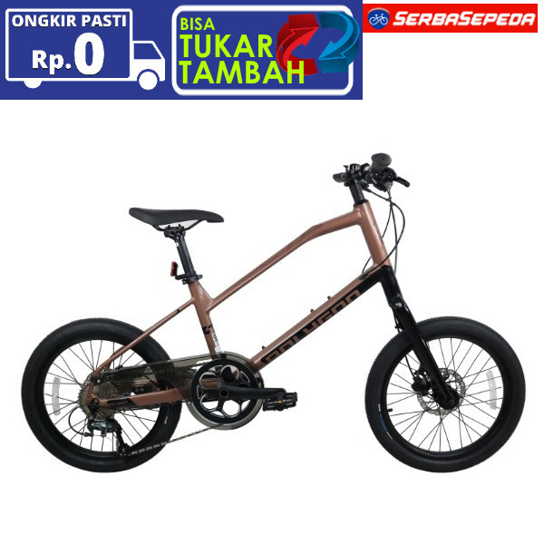 Sepeda Urban - Sepeda Polygon Zeta 2