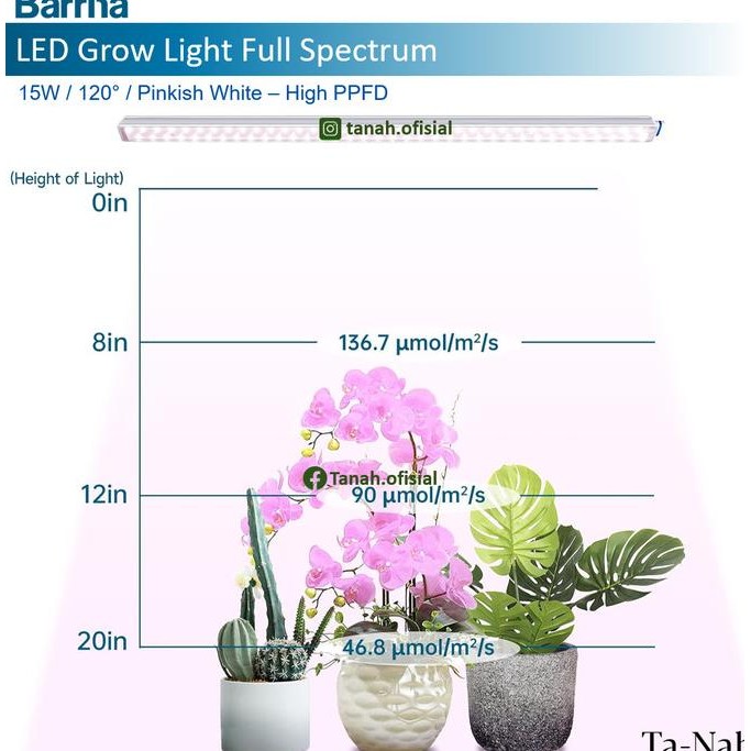 Promo Grow Light Full Spectrum Led Barrina T5 60Cm 1X15W 120 Pinkish White -Repack