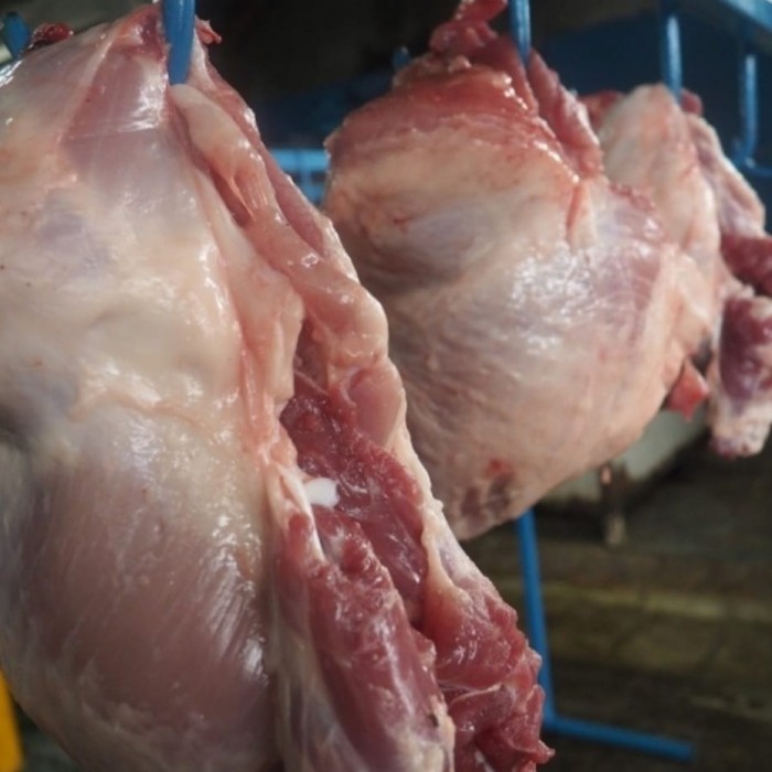 

DAGING PAHA ISI/ PORK ROAST (KG)