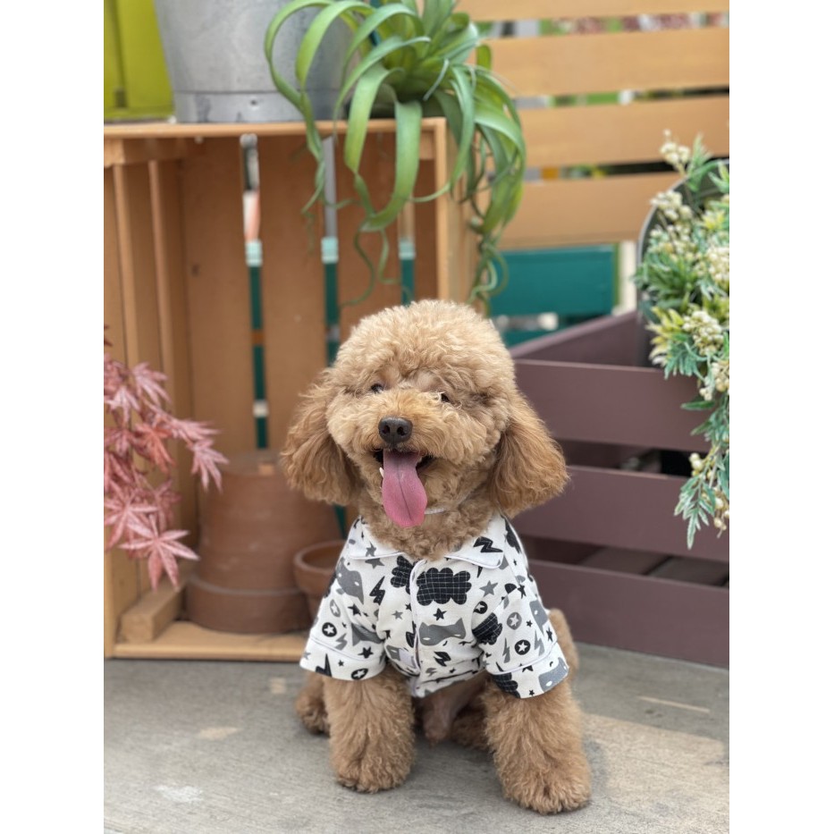 Baju Anjing Poodle Pawpawsome Projects Black Ad White Printing
