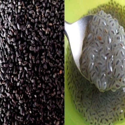 

SALE TERLARIS BIJI SELASIH 1KG IMPORT READYY