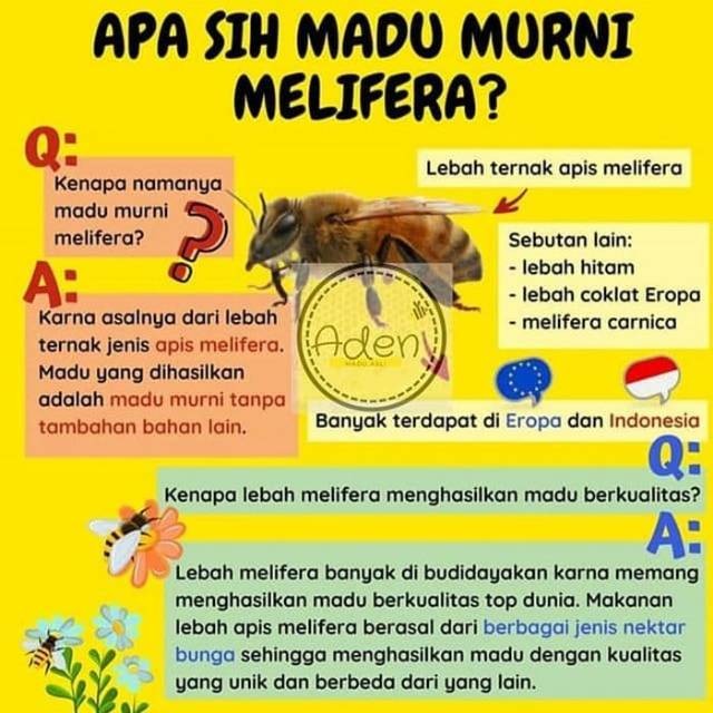 

Madu / Madu Murni Multiflora 5000 Gram