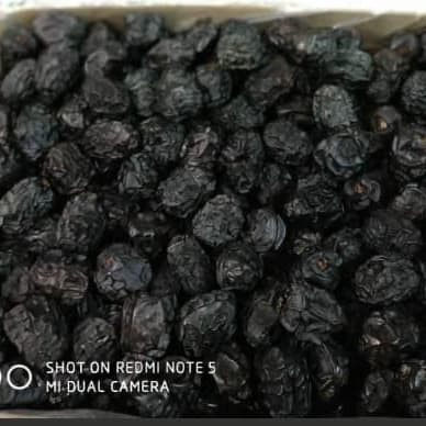 

Kurma Azwa Super