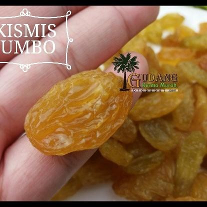 

I Jumbo Golden Raiin Jumbo Oleholeh Haji Dan Umrah