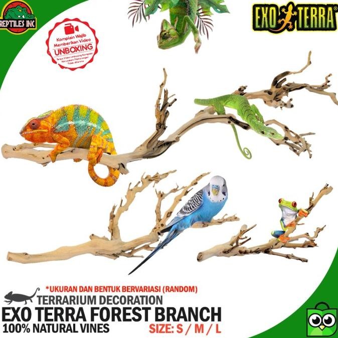 Exoterra Forest Branch Ranting Pohon Dekor Kandang Hewan Reptil Iguana