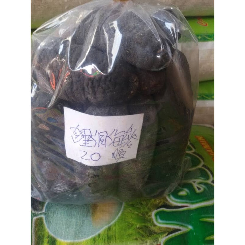 

HAISOM/TERIPANG KERING ASLI BELITUNG ISI 20