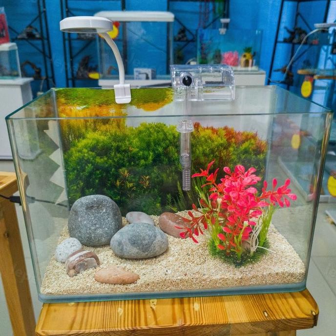 LEPET AQUARIUM PAKET 30 CM / AQUARIUM MELENGKUNG / AQUASCAPE / AQUARIUM BENDING
