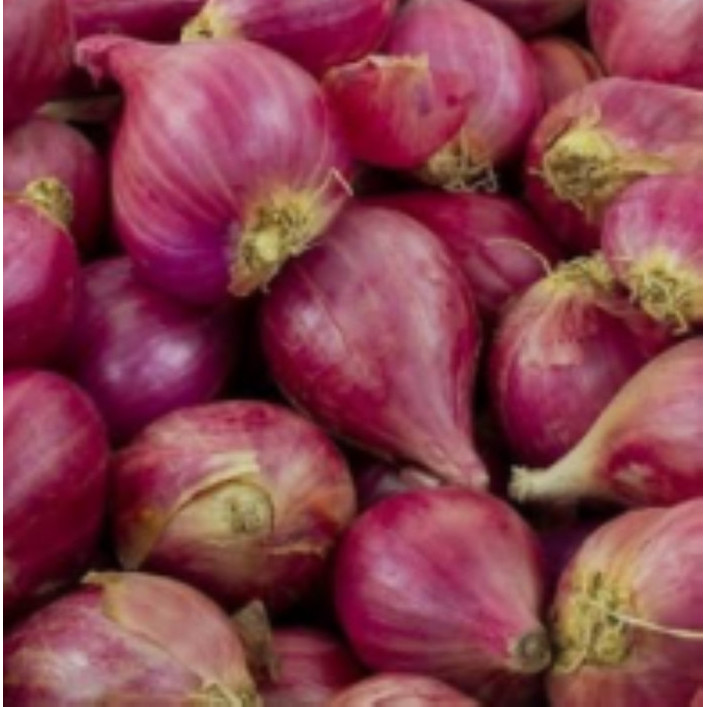

TERJAMIN Bawang merah langsung dari petani bahan baku dan bumbu memasak harga per 1 kg