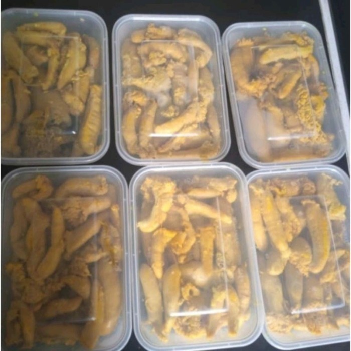 

SALE Telur Ikan Kakap Fresh Bumbu Kuning Siap Goreng
