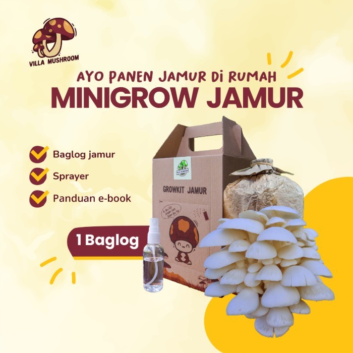 

TERBARU Omou Mushroom Growing Kit BISA GOSEND!