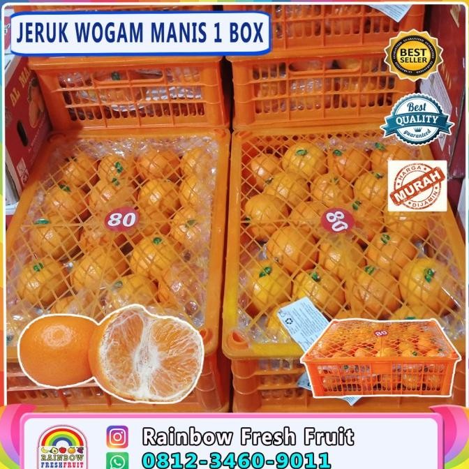 

SALE! TERLARIIISSSS BUAH JERUK WOGAM MADU 1 KERANJANG