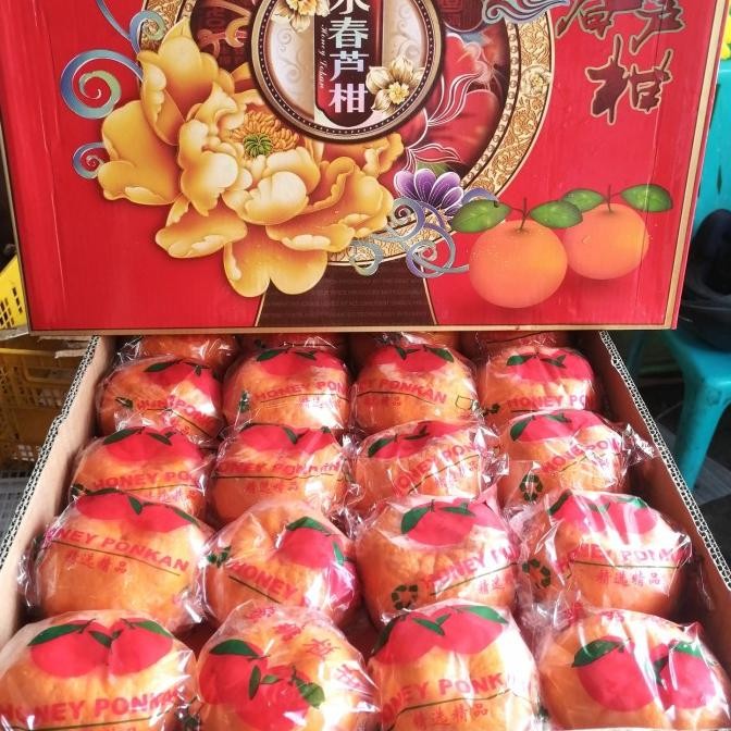 

SALE! HAMPERS PACK CNY EDITION "JERUK PONKAM" ISI 20PCS DAN 40PCS