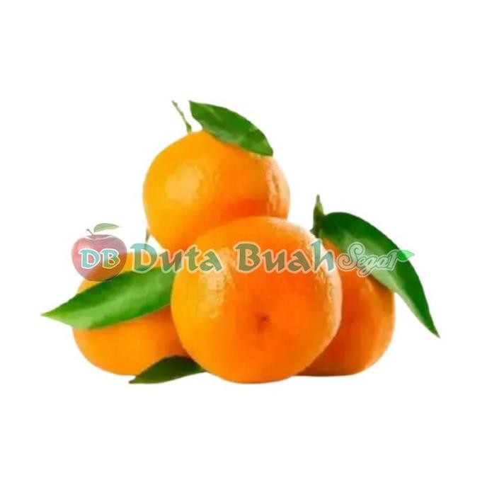 

SALE! JERUK SANTANG BIRMA TANGERINE (0.9 - 1KG)