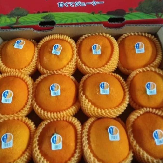 

SALE! BUAH JERUK AIYUAN FRESH MANIS PER 1 DUS -+ 3 KG