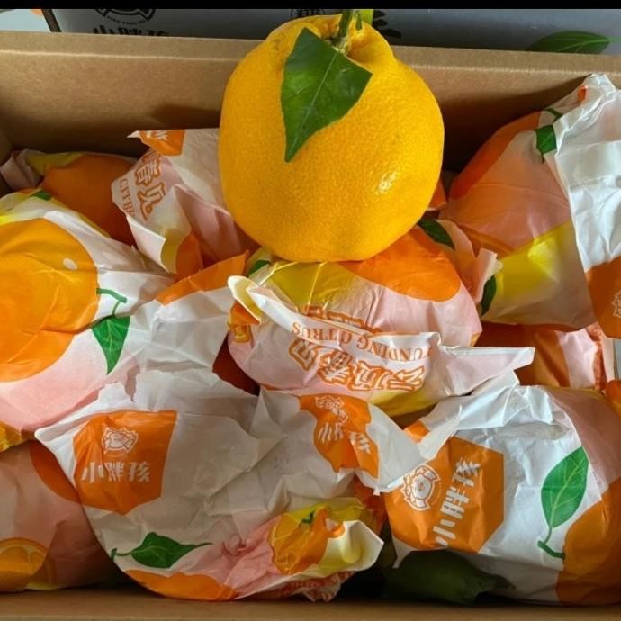 

SALE! JERUK PAPAGAN DEKOPON CHUNJIAN SUPER JUMBO XXXL / BOX
