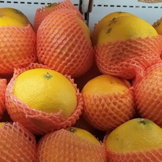 

SALE! JERUK AIYUAN 1KG