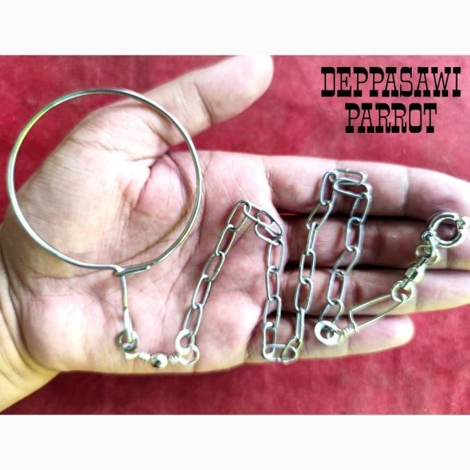 Rantai Burung Nuri Stainless Stell