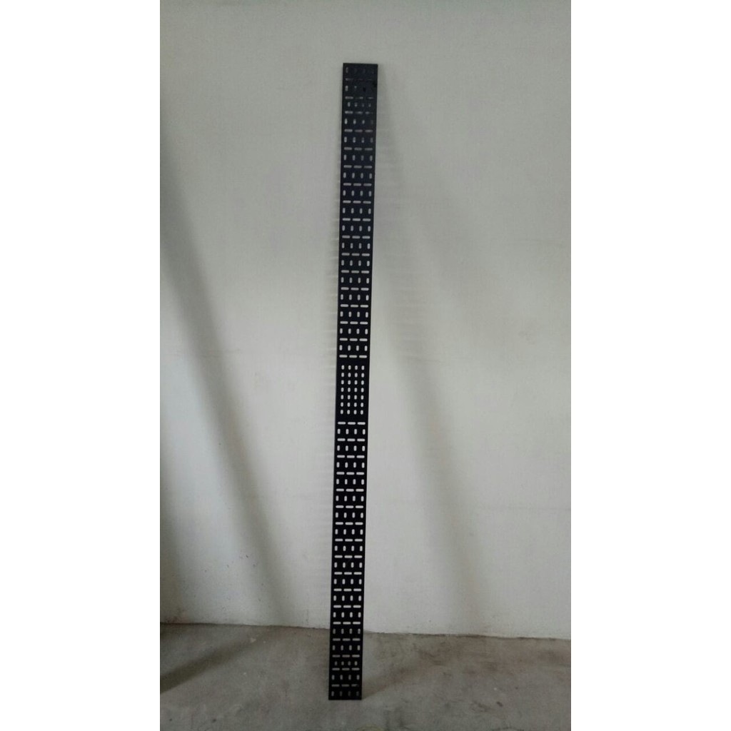 Cable Tray / Vertical Cable Management 42U