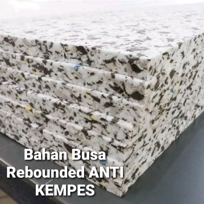 Kasur Busa Royal Foam Medicare Rebounded Anti Kempes