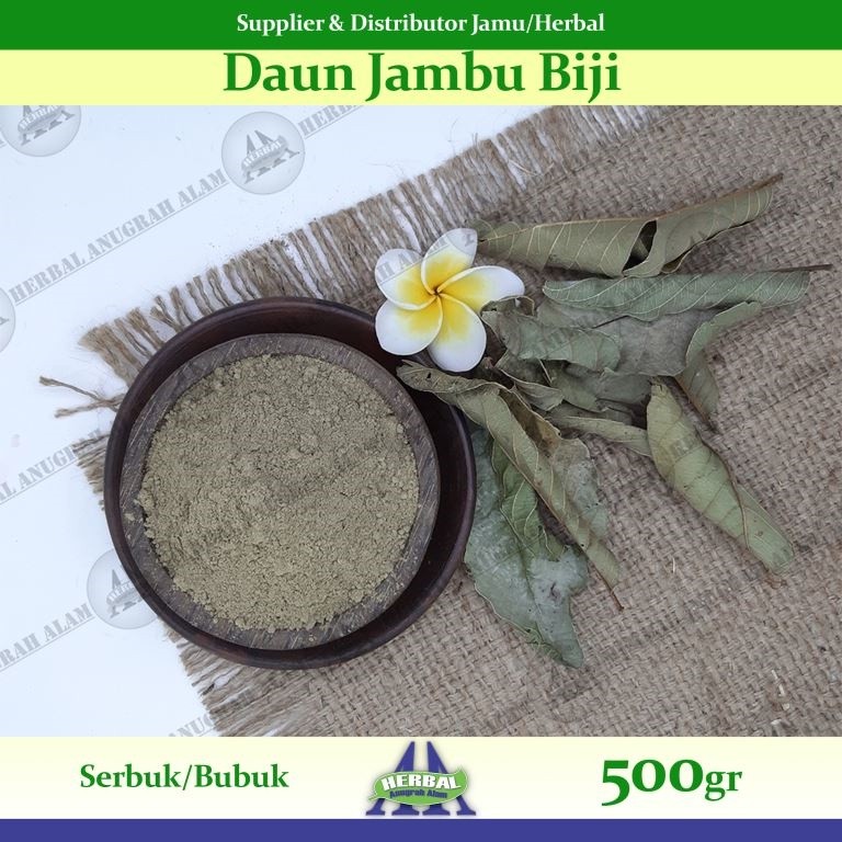 Daun Jambu Biji (Bubuk) 500Gr | Psidium Guajava | Klutuk - 100% Murni #Herbal
