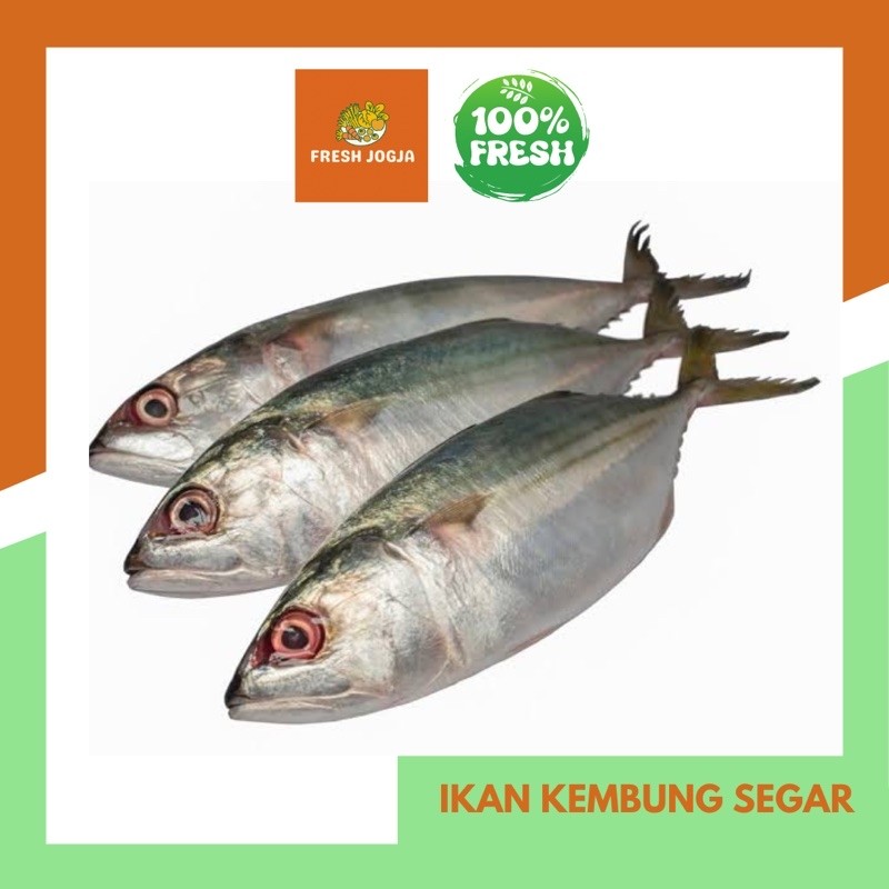 

Ikan Kembung Segar per 500gr | Fresh Jogja