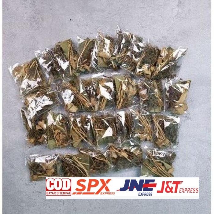 

Terpopuler Wedang Akar Alang Jahe Meniran Kumis Kucing Daun Sukun Atasi Masalah Ginjal Daun Herbal Segar