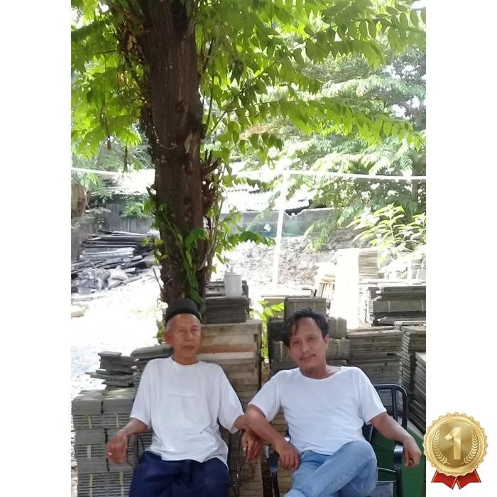 

Premium Terbaik Daun Segar Cherry Kersen Talok 100 Gram Herbal Kesehatan Tubuh Daun Herbal