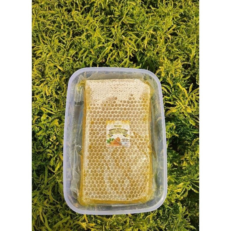 

Sale Madu Sarang 500 Gram Original Madu Asli Premium Sarang Madu Madu Murni Grosir