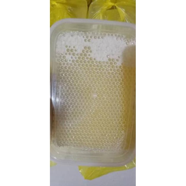 

Terpercaya Madu Sarang Asli Premium Madu Asli Netto 500Gram Sarang Madu Madu Murni Grosir