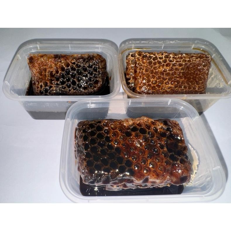 

Ori Madu Sarang 600 Gram Meliefera Ll Sarang Madu 600 Gr Asli Original Melifera Murah