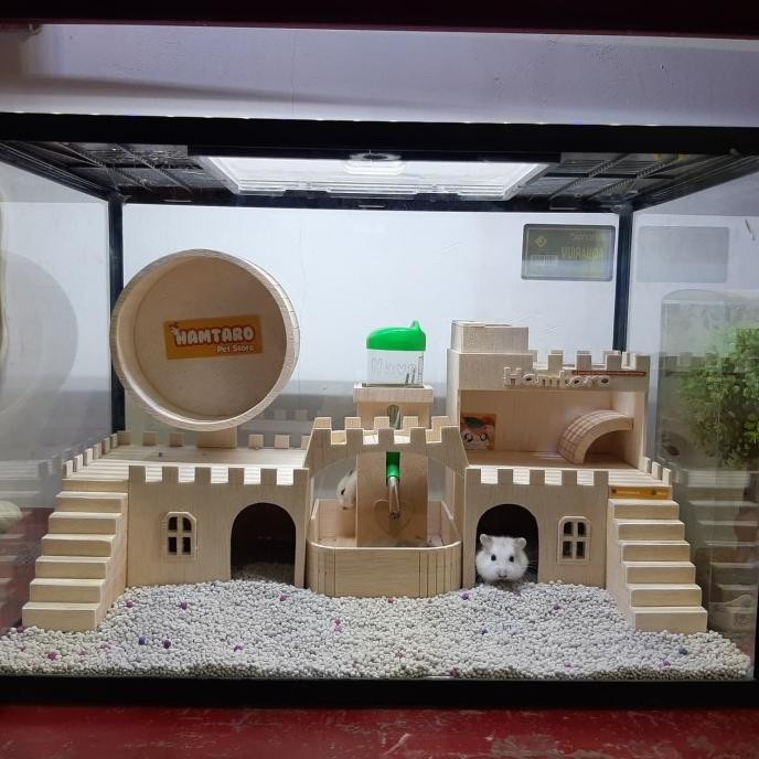 Terarium Kandang Hamster Besar Dan Lucu Mewah Dan Fullset
