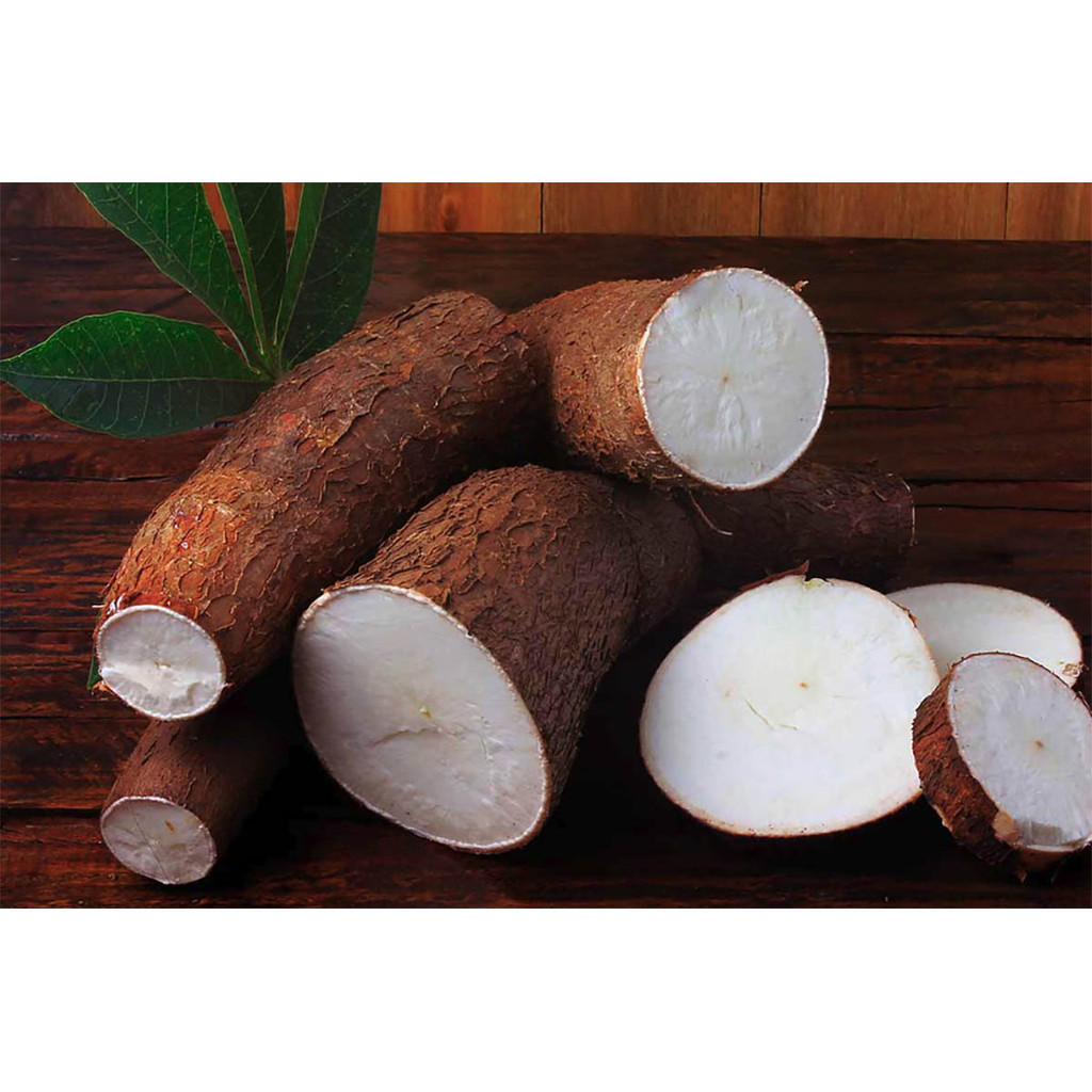 

SINGKONG GURIH PULEN 1KG