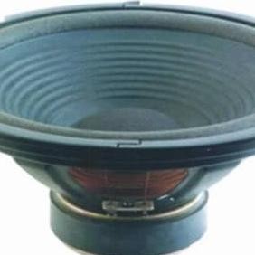 Woofer 10 Inch  Ready
