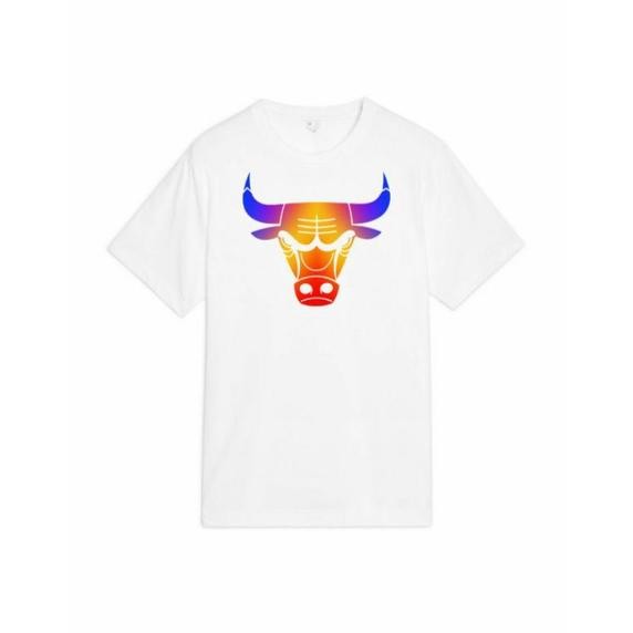 Kaos Basket Keren Nba Chicago Bulls Rainbow Purp