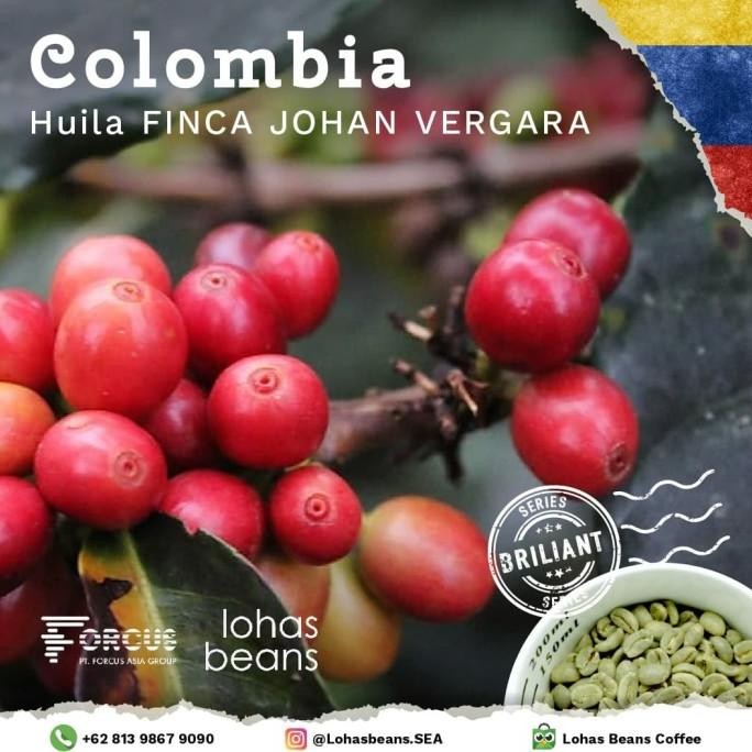 

Biji Kopi Arabica Colombia, Huila - FINCA JOHAN VERGARA
