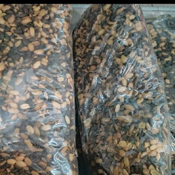 

kacang biji kedawung matang 1kg