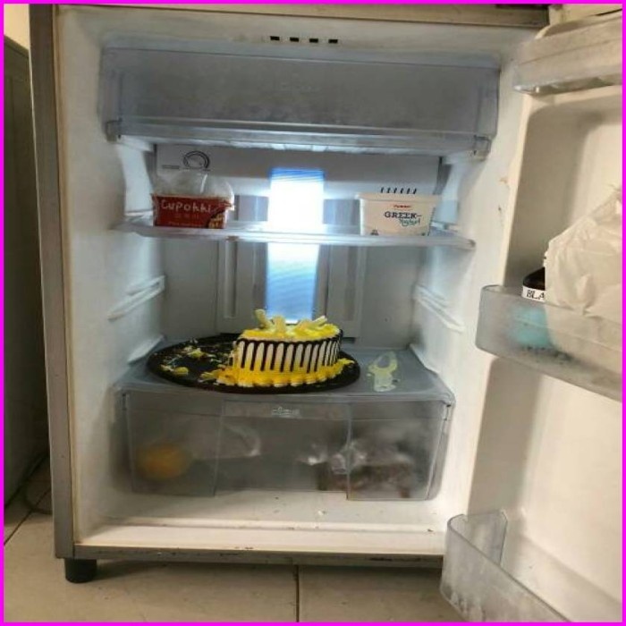 RAK KULKAS LEMARI ES TOSHIBA GLACIO 2 PINTU CUSTOM