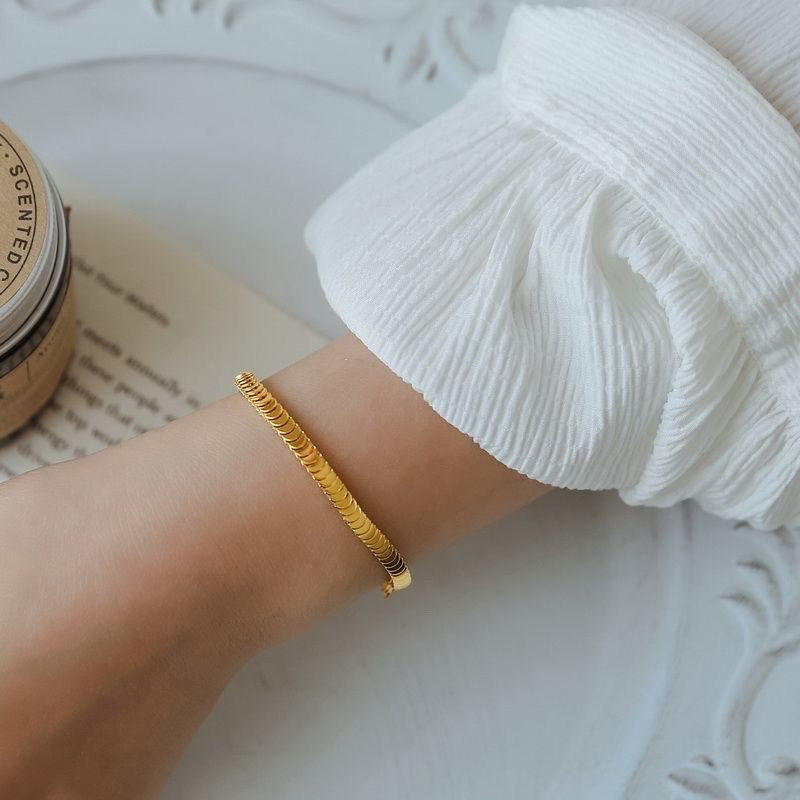 Jindian Same Style High-Grade Scale Scale Titanium Steel Bracelet Female Mesh Double-Sided Bracelet